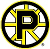 Providence Bruins